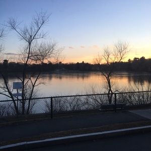 Meet your Posher, Allie